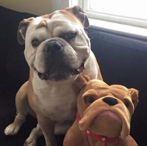 Meet your Posher, Heather